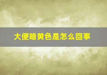 大便暗黄色是怎么回事