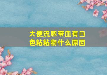 大便流脓带血有白色粘粘物什么原因