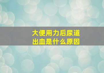 大便用力后尿道出血是什么原因