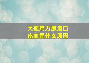 大便用力尿道口出血是什么原因