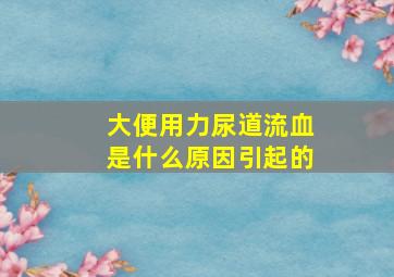 大便用力尿道流血是什么原因引起的