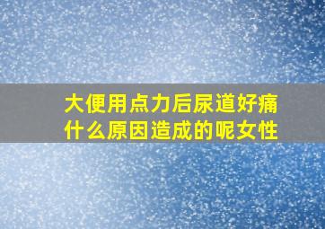 大便用点力后尿道好痛什么原因造成的呢女性