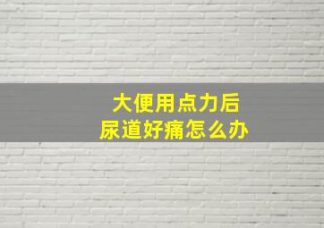 大便用点力后尿道好痛怎么办