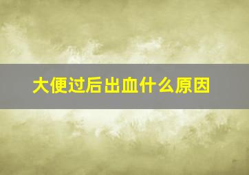 大便过后出血什么原因