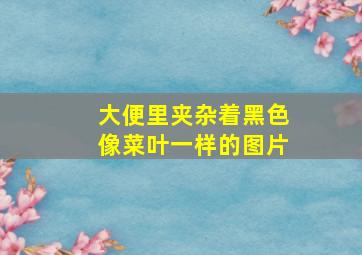 大便里夹杂着黑色像菜叶一样的图片