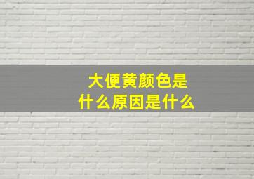 大便黄颜色是什么原因是什么