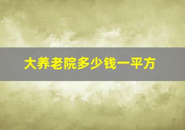 大养老院多少钱一平方