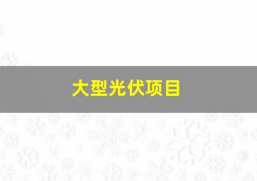 大型光伏项目