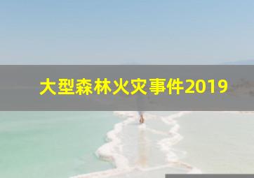 大型森林火灾事件2019