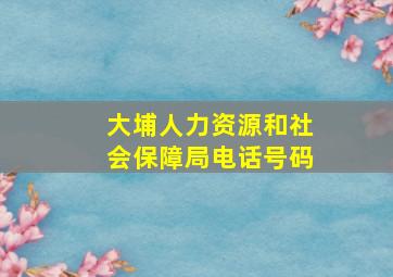 大埔人力资源和社会保障局电话号码