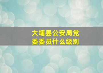 大埔县公安局党委委员什么级别