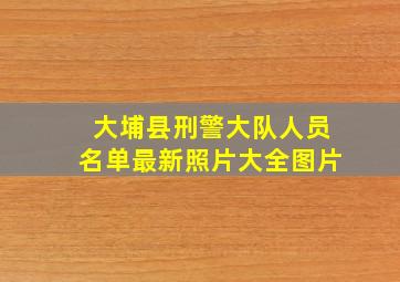 大埔县刑警大队人员名单最新照片大全图片