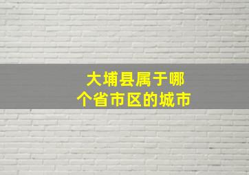 大埔县属于哪个省市区的城市