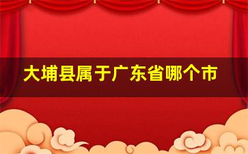 大埔县属于广东省哪个市