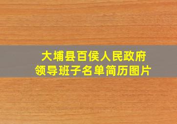 大埔县百侯人民政府领导班子名单简历图片