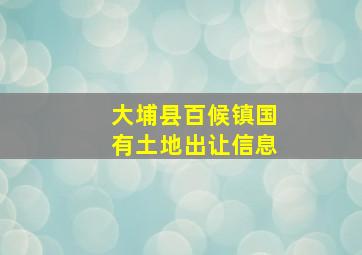 大埔县百候镇国有土地出让信息