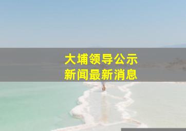 大埔领导公示新闻最新消息