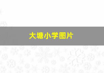 大塘小学图片