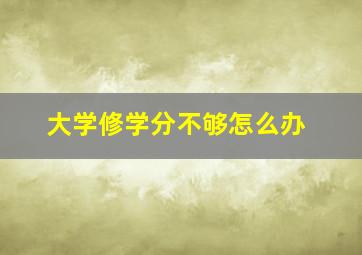 大学修学分不够怎么办