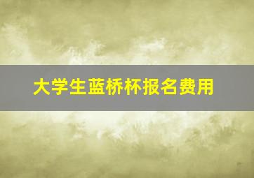 大学生蓝桥杯报名费用