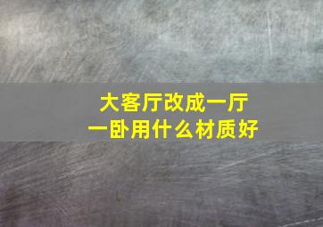 大客厅改成一厅一卧用什么材质好