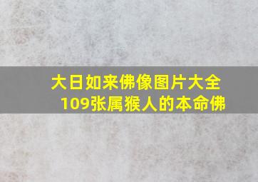 大日如来佛像图片大全109张属猴人的本命佛