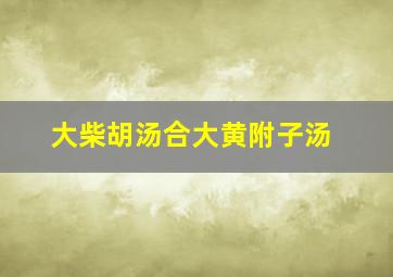 大柴胡汤合大黄附子汤