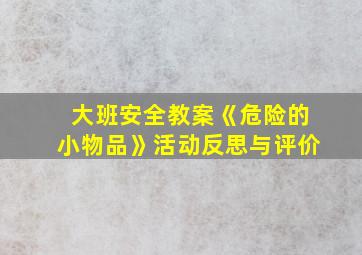 大班安全教案《危险的小物品》活动反思与评价