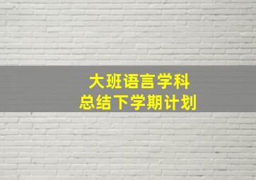 大班语言学科总结下学期计划