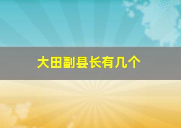 大田副县长有几个