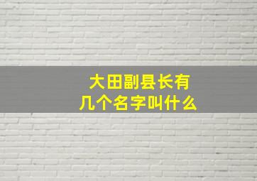 大田副县长有几个名字叫什么