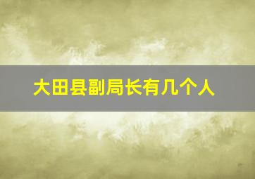 大田县副局长有几个人