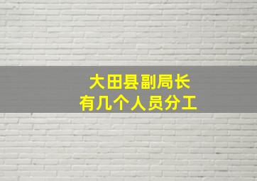 大田县副局长有几个人员分工