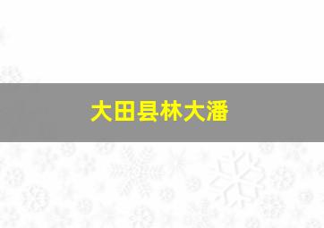 大田县林大潘