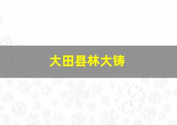 大田县林大铸