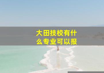 大田技校有什么专业可以报