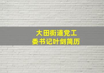 大田街道党工委书记叶剑简历