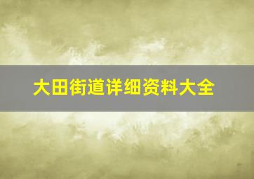 大田街道详细资料大全