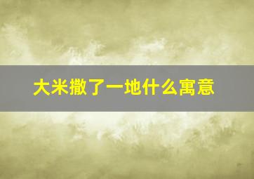 大米撒了一地什么寓意