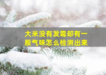 大米没有发霉却有一股气味怎么检测出来