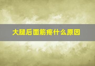 大腿后面筋疼什么原因