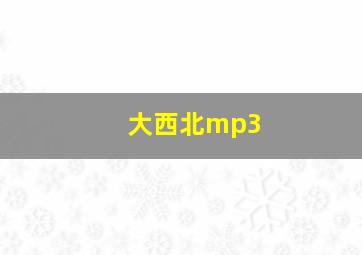 大西北mp3