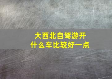 大西北自驾游开什么车比较好一点