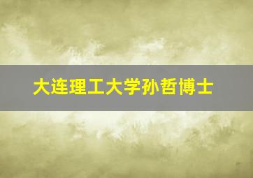 大连理工大学孙哲博士