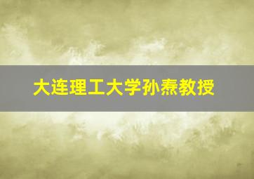 大连理工大学孙焘教授