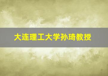 大连理工大学孙琦教授