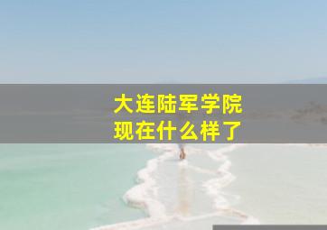 大连陆军学院现在什么样了