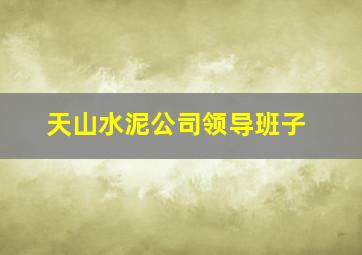 天山水泥公司领导班子