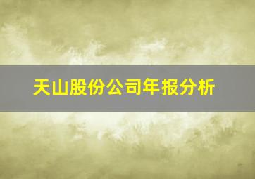 天山股份公司年报分析