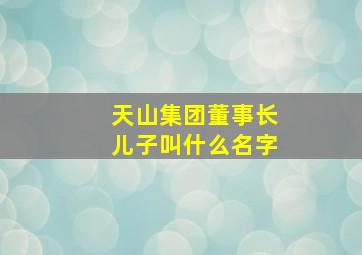 天山集团董事长儿子叫什么名字